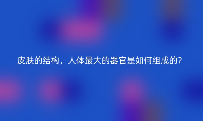 皮膚的結(jié)構(gòu)，人體最大的器官是如何組成的？
